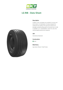 BKT LG Rib Data Sheet